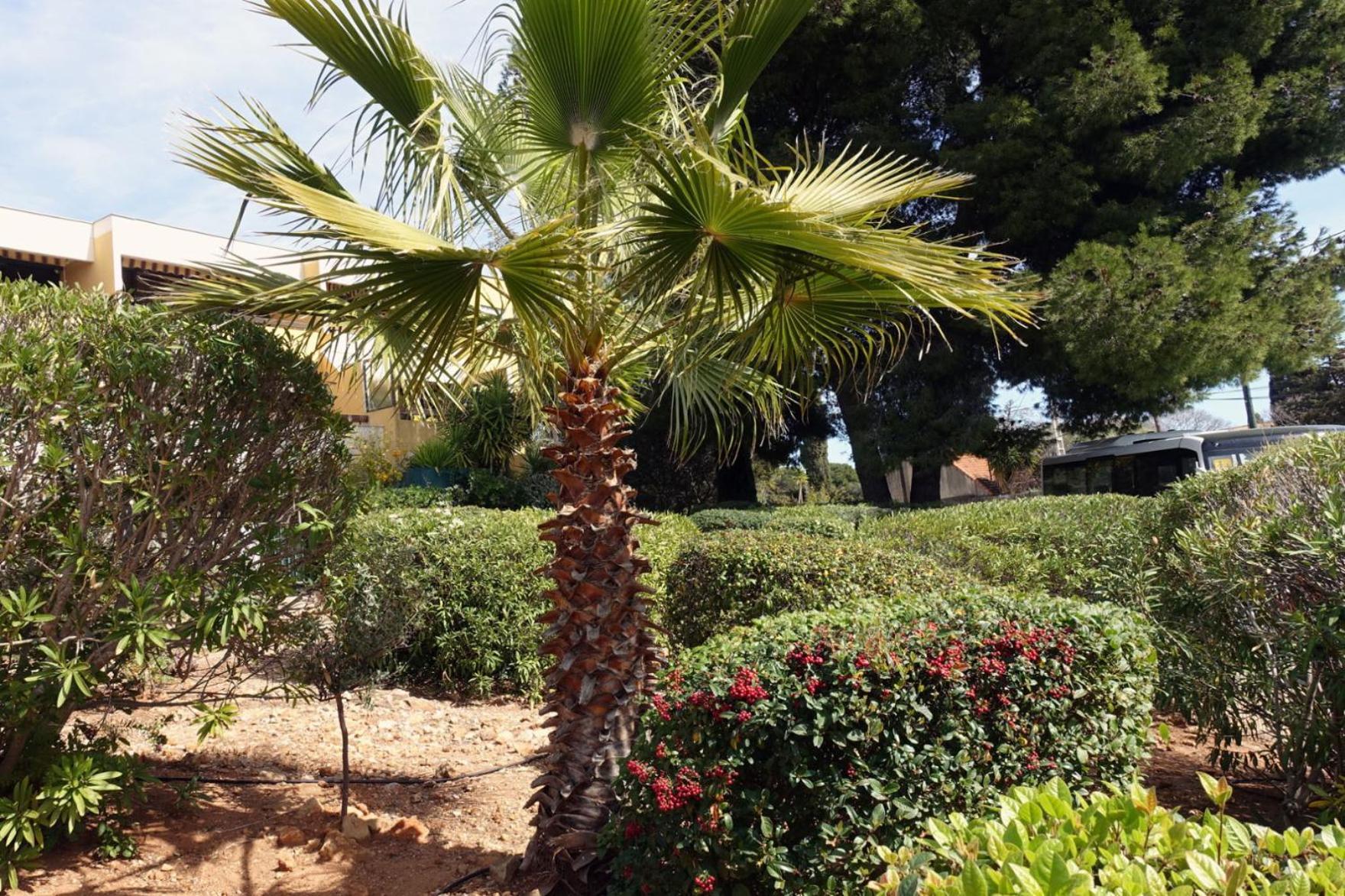 Les Jardins De Bandol, Piscine Privee, Belle Vue Mer Kültér fotó