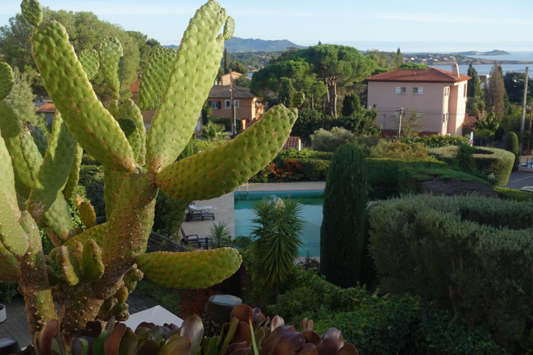 Les Jardins De Bandol, Piscine Privee, Belle Vue Mer Kültér fotó